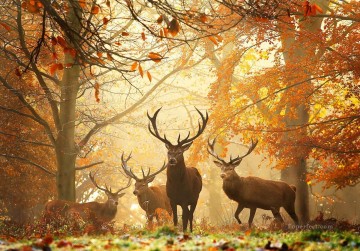 Animal Painting - fotografía de ciervos de otoño